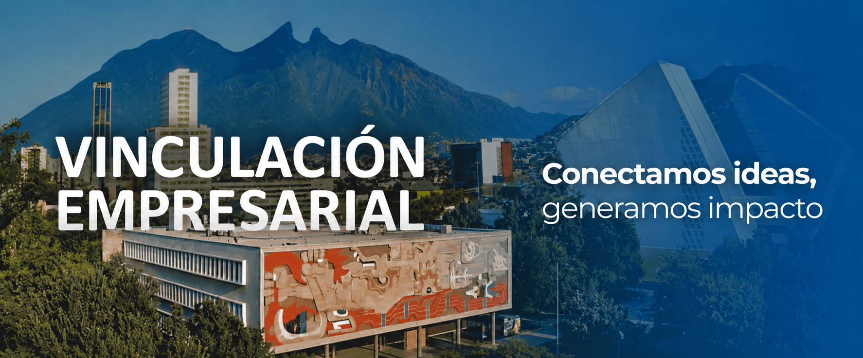 Vinculación Empresarial